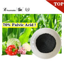 X-Humate Developed Top Agriculture Fertilizer 70% Fulvic Acid